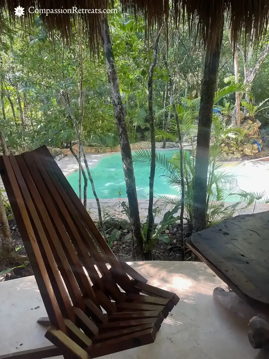 A moment from the Compassion Retreats jungle sanctuary — photo 47