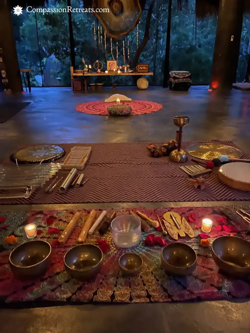 A moment from the Compassion Retreats jungle sanctuary — photo 48