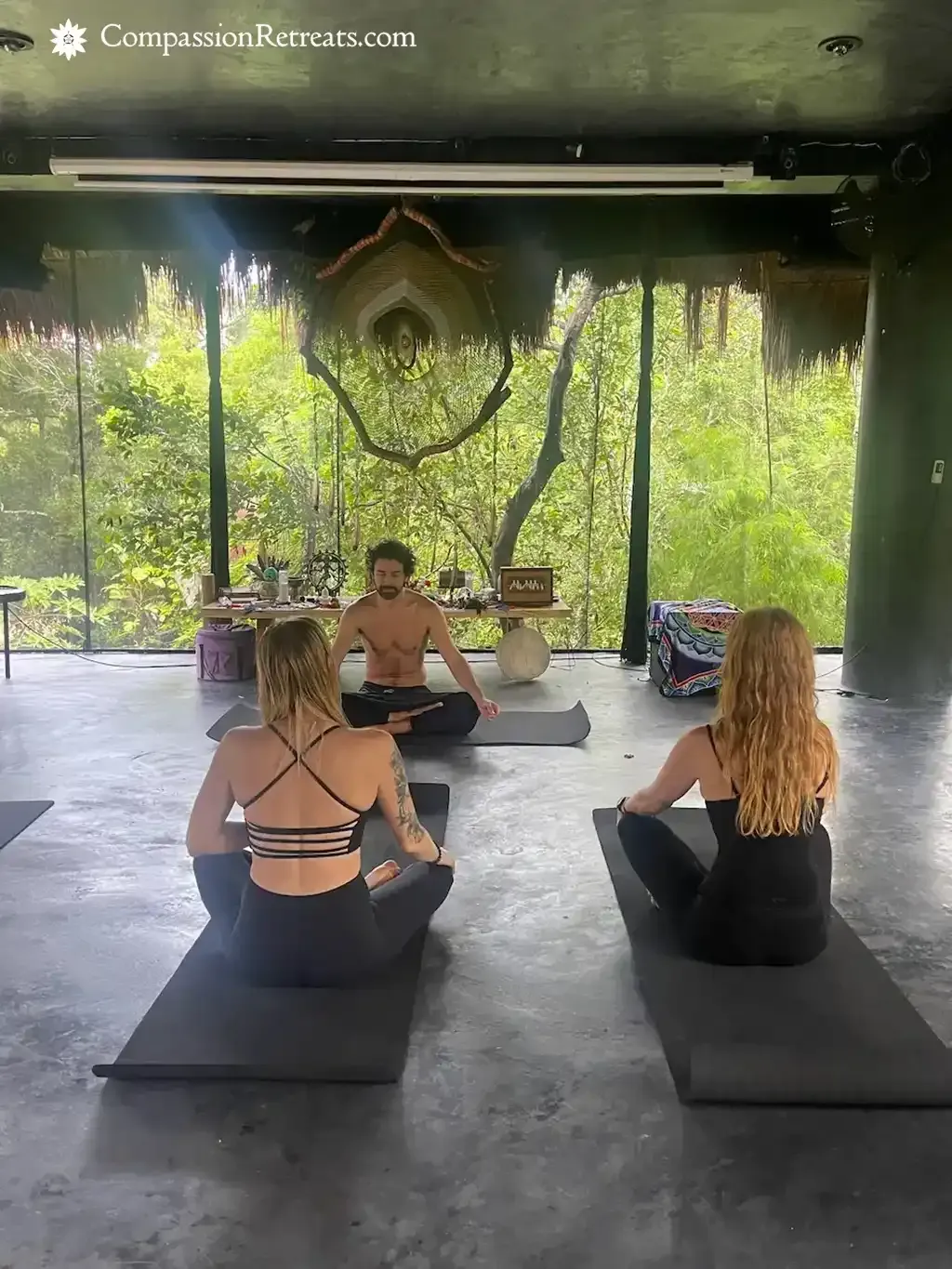 A moment from the Compassion Retreats jungle sanctuary — photo 52