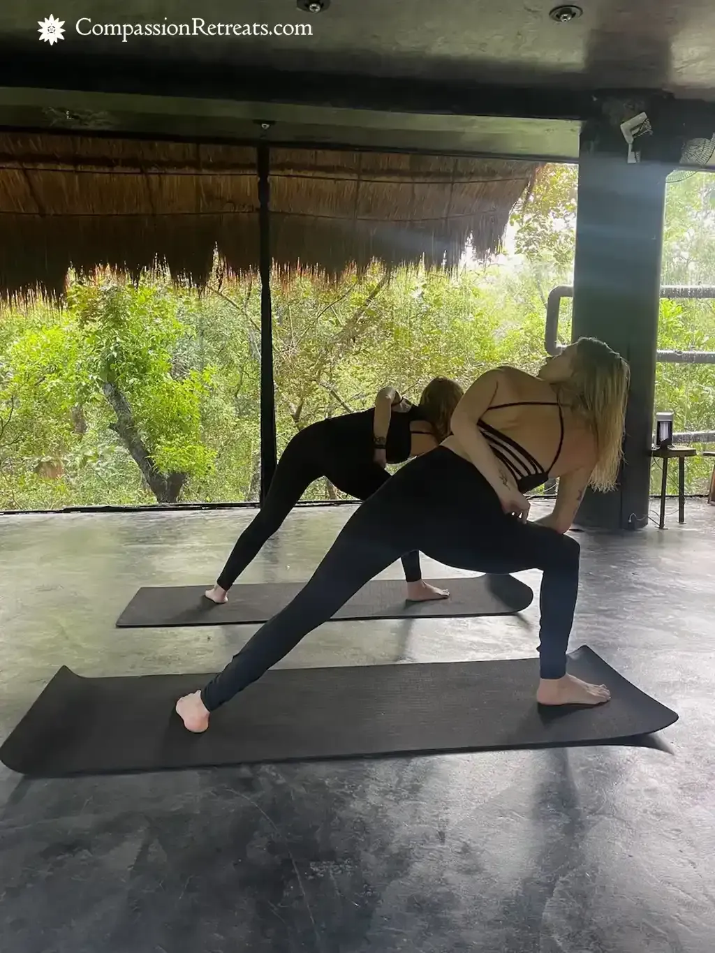 A moment from the Compassion Retreats jungle sanctuary — photo 53
