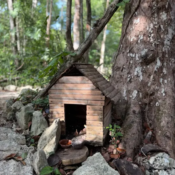 Temazcal sweat lodge at the sanctuary