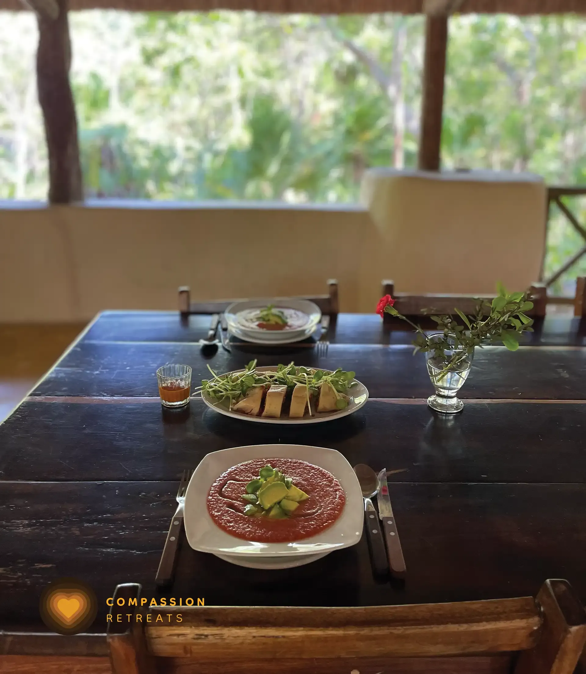 A moment from the Compassion Retreats jungle sanctuary — photo 19