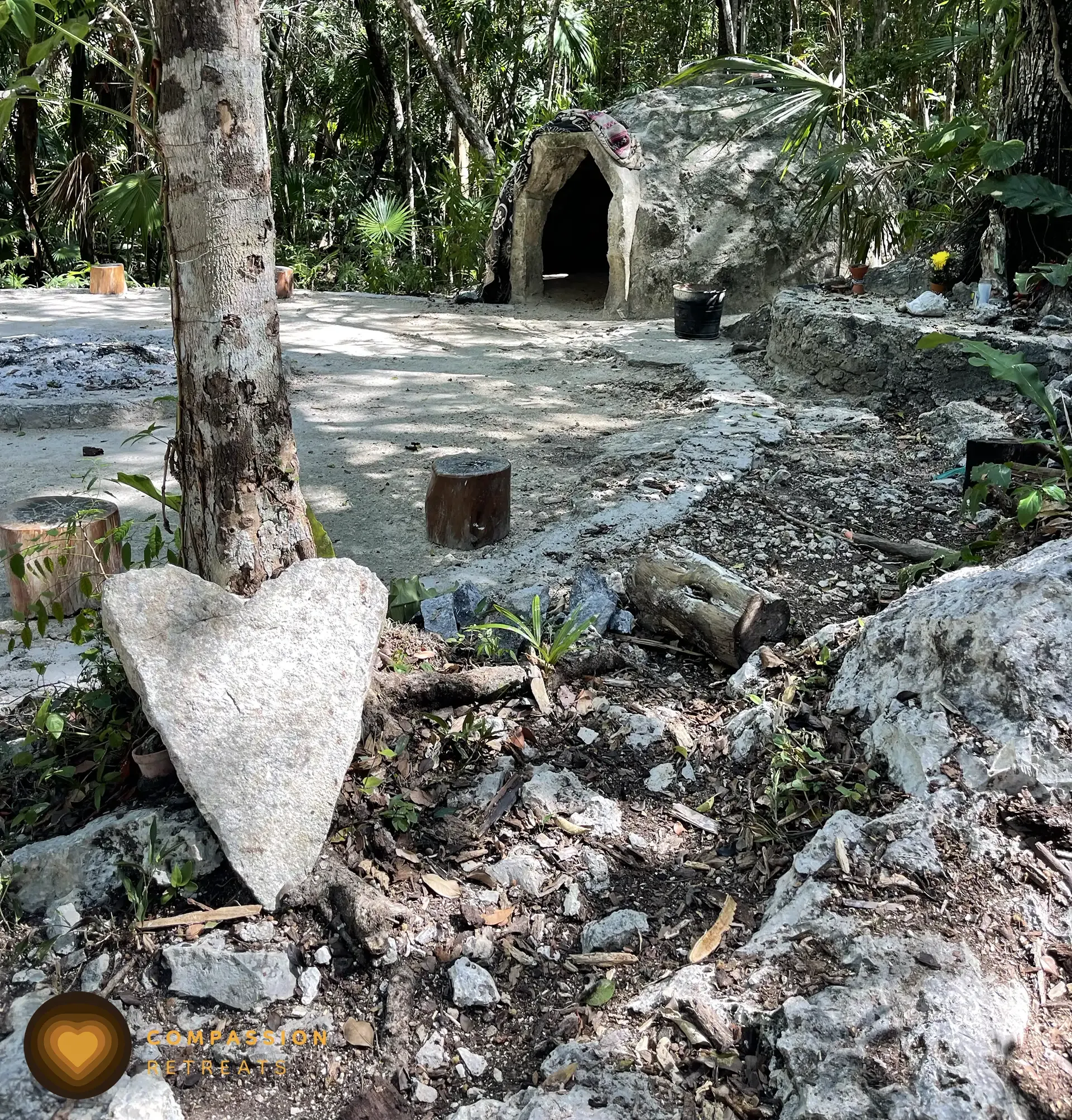 The jungle sanctuary grounds at Compassion Retreats