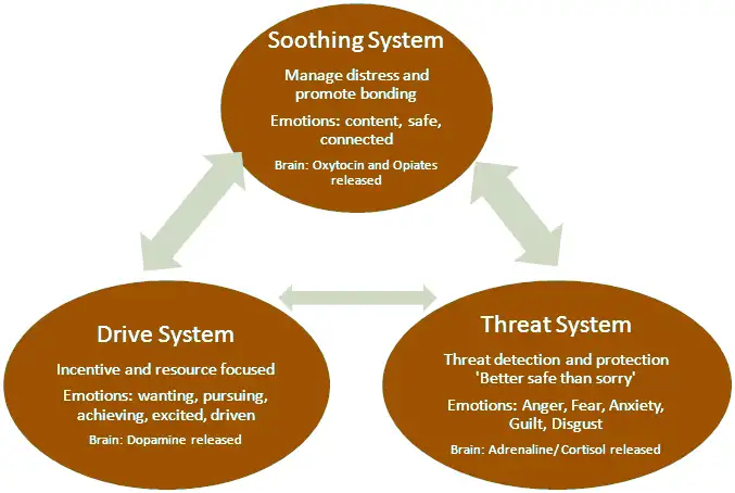 Abstract image of three interconnected circles representing the emotional systems