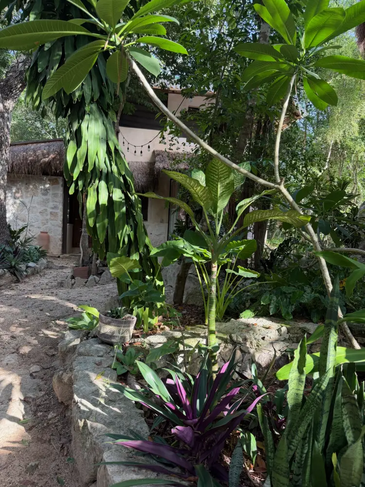 A lush tropical garden with a dirt path leading to a stone-and-thatch building, framed by vibrant foliage