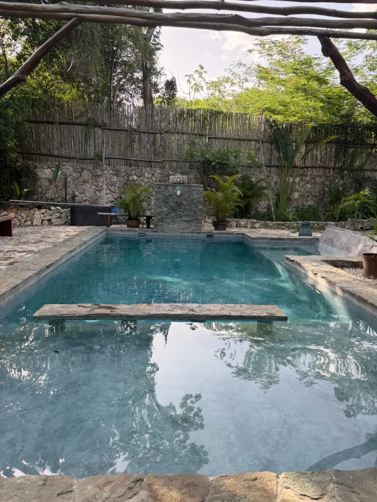 A quiet rectangular pool in a private garden surrounded by bamboo and jungle